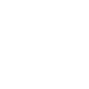 mobile device protection